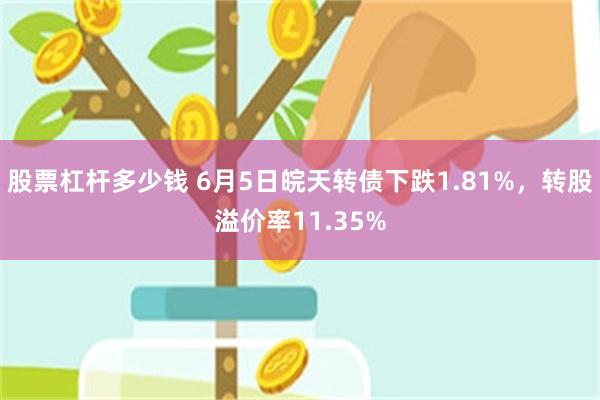 股票杠杆多少钱 6月5日皖天转债下跌1.81%，转股溢价率11.35%