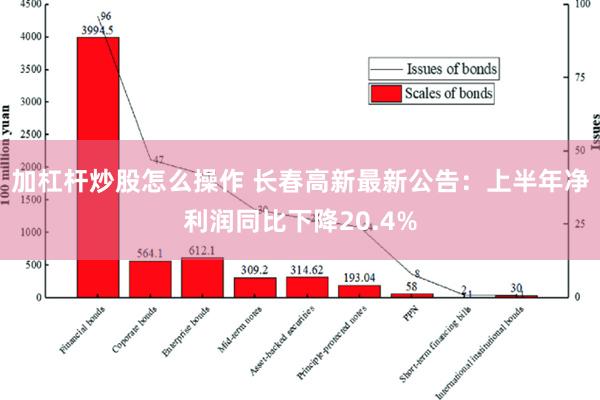 加杠杆炒股怎么操作 长春高新最新公告：上半年净利润同比下降20.4%