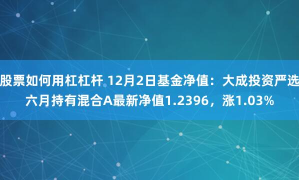 股票如何用杠杠杆 12月2日基金净值：大成投资严选六月持有混合A最新净值1.2396，涨1.03%