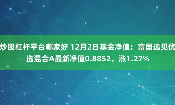 炒股杠杆平台哪家好 12月2日基金净值：富国远见优选混合A最新净值0.8852，涨1.27%