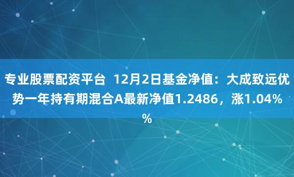 专业股票配资平台  12月2日基金净值：大成致远优势一年持有期混合A最新净值1.2486，涨1.04%