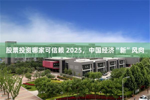 股票投资哪家可信赖 2025，中国经济“新”风向