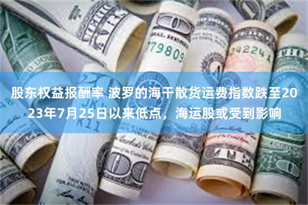 股东权益报酬率 波罗的海干散货运费指数跌至2023年7月25日以来低点，海运股或受到影响