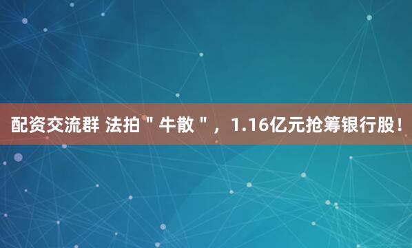 配资交流群 法拍＂牛散＂，1.16亿元抢筹银行股！