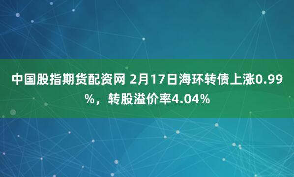 中国股指期货配资网 2月17日海环转债上涨0.99%，转股溢价率4.04%